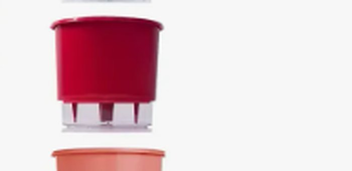 Vaso autoirrigável para plantas