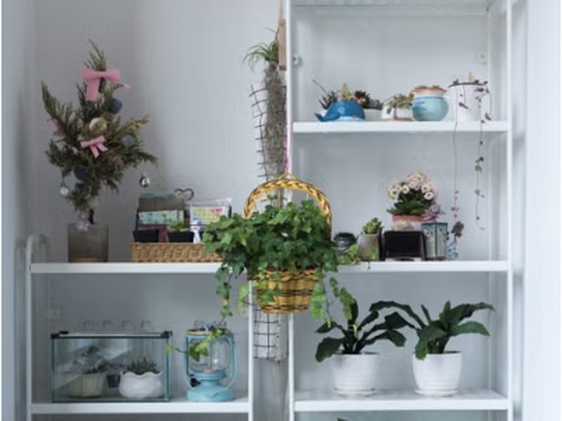 Estante branca com prateleiras organizadas com plantas e caixas decorativas